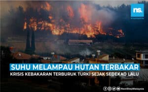 Suhu melampau, hutan Turki terbakar