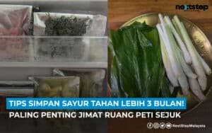 Ini tips mudah simpan sayur, boleh tahan lebih 3 bulan!