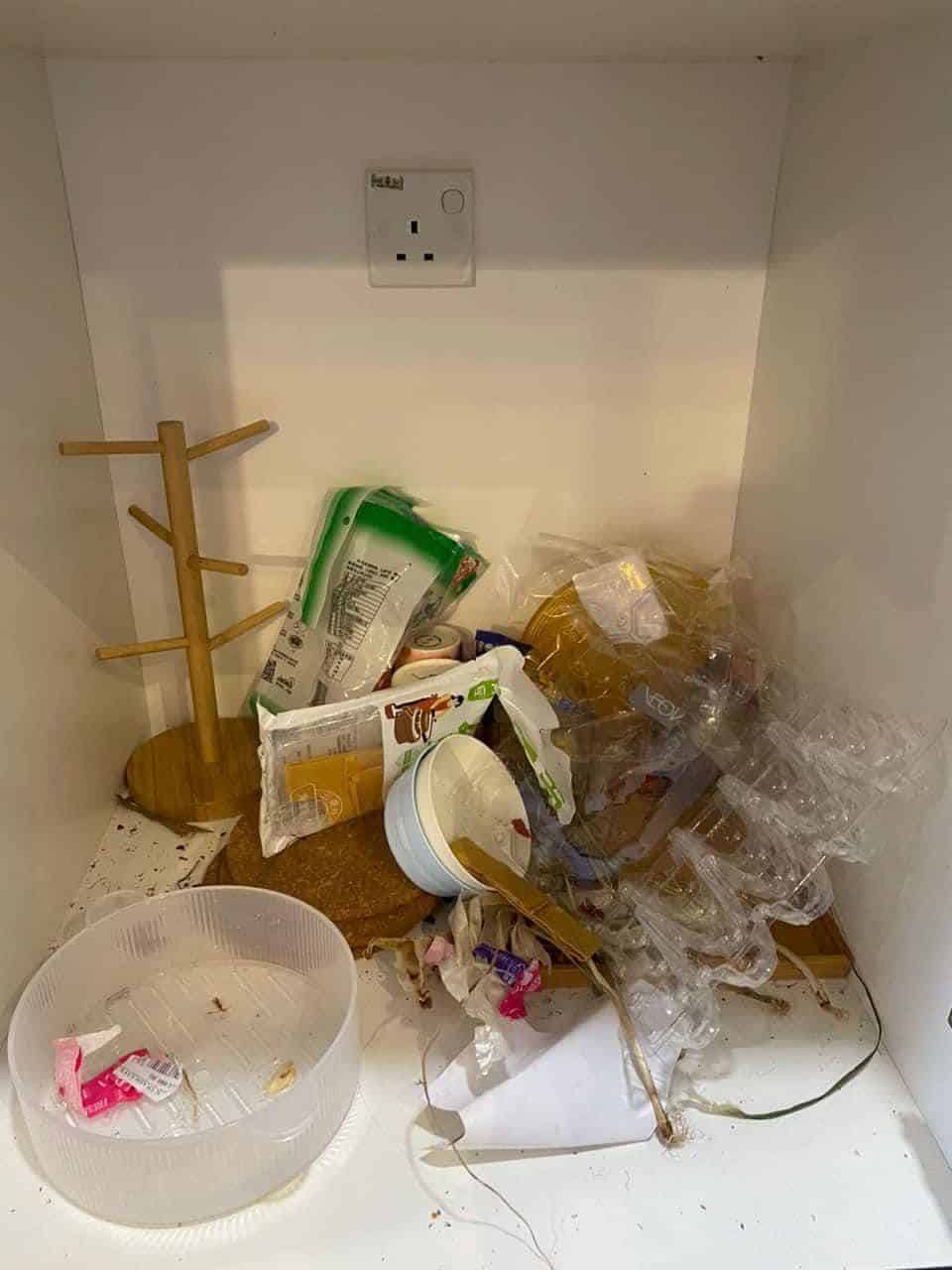 Penyewa ini buktikan benarlah orang kata cantik tak semestinya pembersih, tuala wanita pun dibuang bersepah. Perusahaan rumah inap memerlukan kesabaran kerana pemilik harus berurusan dengan penyewa daripada pelbagai latar belakang.Begitulah juga wanita ini yang dikecewakan oleh penyewanya yang pengotor dan tidak mengambil berat soal kebersihan.