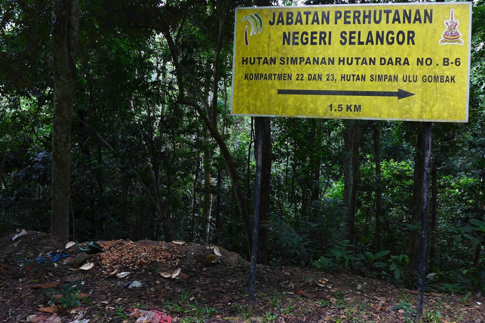 Dusun Musang King dikunjungi selebriti rupanya ceroboh hutan simpan, boleh pula bina rumah rehat