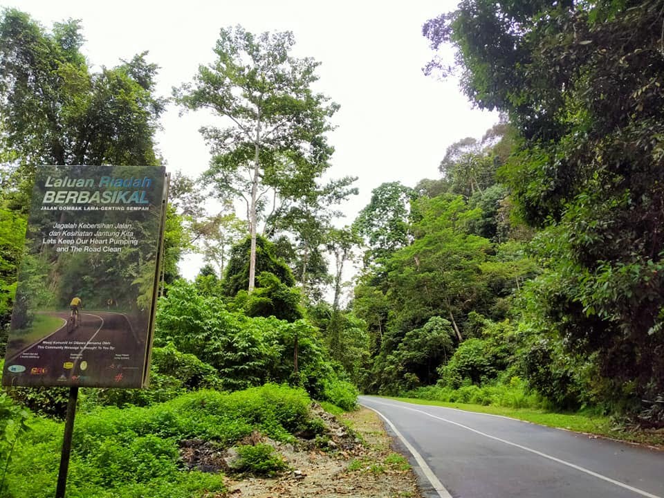 Dusun Musang King dikunjungi selebriti rupanya ceroboh hutan simpan, boleh pula bina rumah rehat