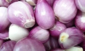 Cara-betul-simpan-bawang-agar-tahan-lama,-semua-jenis-bawang-boleh-guna-cara-ini 02