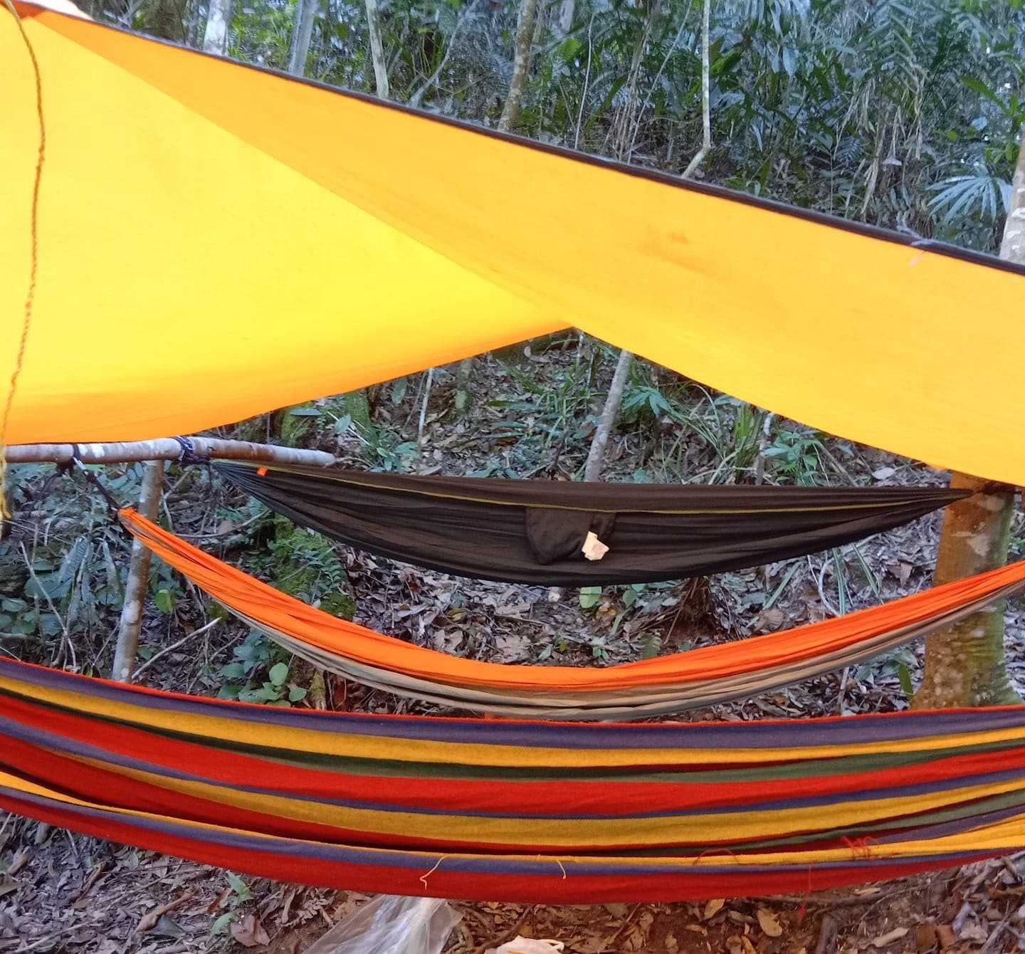 Ikat ‘hammock’ cederakan pokok, pendapat dua pensyarah ini mengundang pertikaian warganet