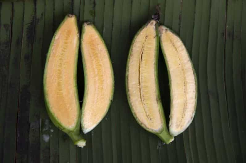 'Pisang sakti' ini rupanya penyelamat jutaan nyawa, hanya terhasil selepas 18 tahun penyelidikan