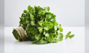 6-khasiat-daun-ketumbar-untuk-kesihatan-termasuk-bantu-turunkan-kolestrol-dalam-darah 01