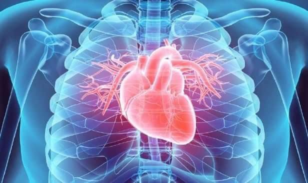 "Skrin telefon lebih banyak bakteria berbanding mangkuk tandas", ini 10 fakta unik tentang kesihatan badan manusia