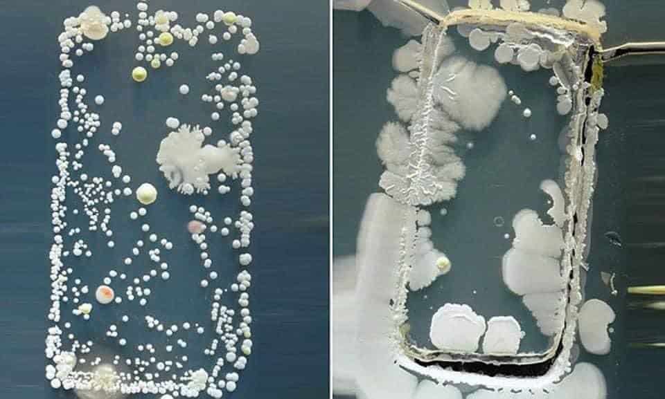 "Skrin telefon lebih banyak bakteria berbanding mangkuk tandas", ini 10 fakta unik tentang kesihatan badan manusia