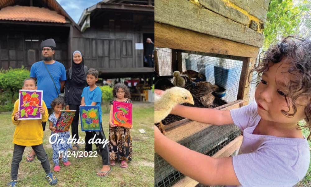 Hidup Tak Berhutang Duit Pun Banyak Jimat Ramai Rupanya Mahu Amal Gaya Hidup Homesteader 