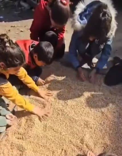 Jika masih bazir makanan, mereka sudah terpaksa kisar makanan haiwan elak kebulur