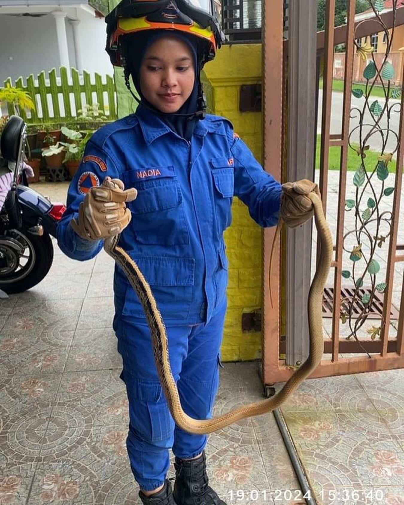 Kediaman anda mungkin selamat dari ular jika buat 7 perkara ini