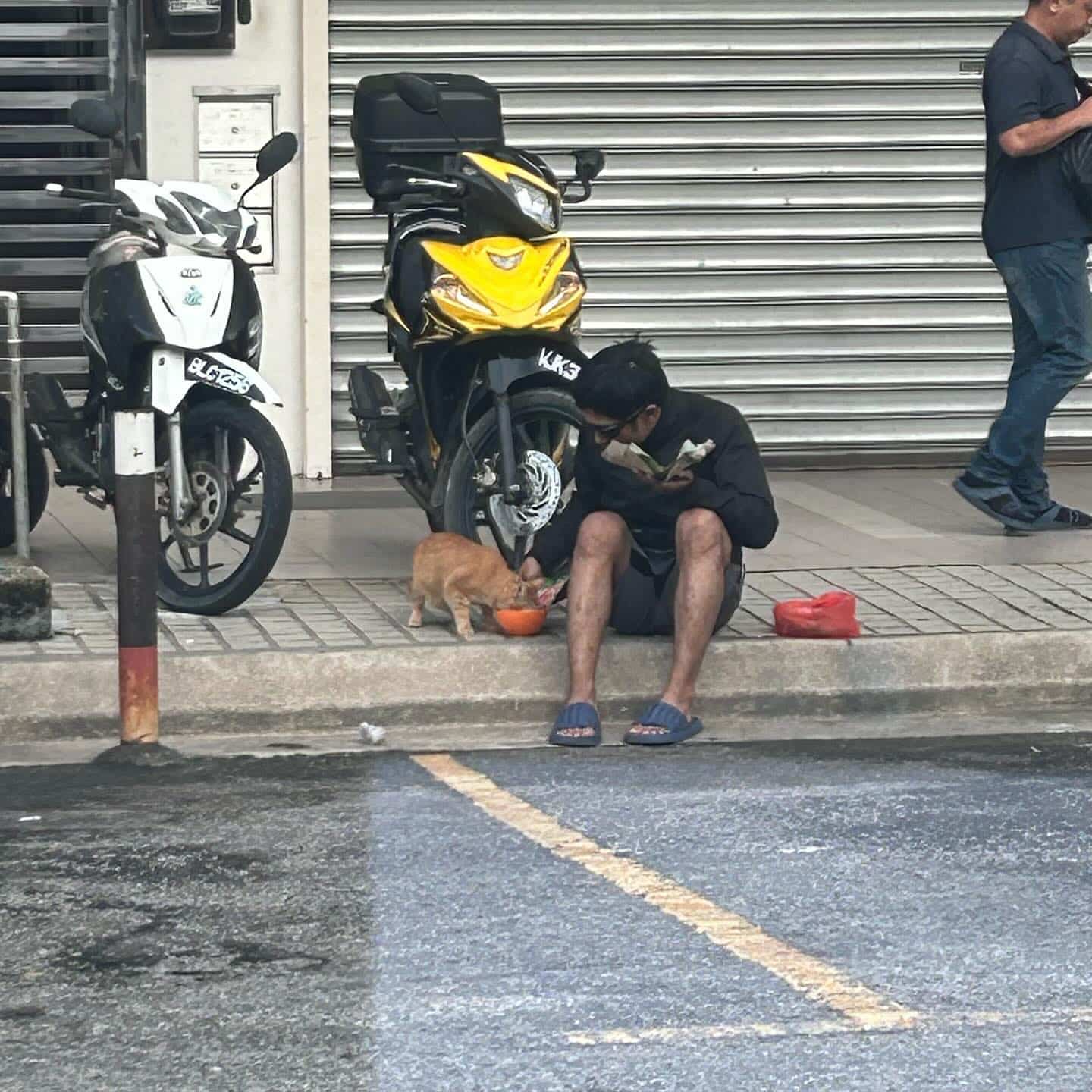 Kongsi sarapan dengan kucing, pengarah yang sedang stres ini 'healing' jiwa