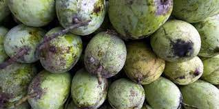 Menghilangkan getah buah yang melekat pada pisau merupakan tugas yang agak sukar