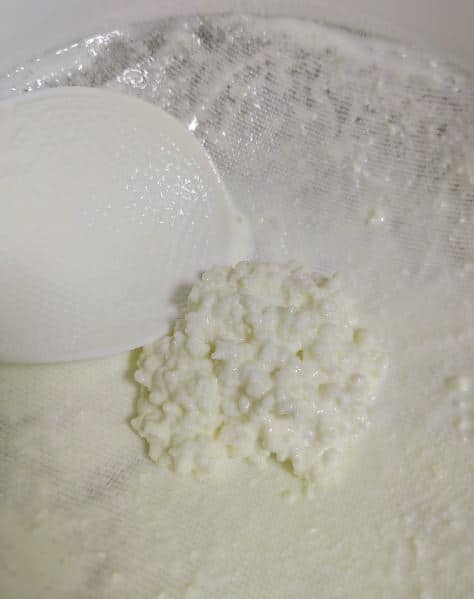 Minuman yang ditapai, susu kefir punyai kebaikkan tersendiri untuk badan