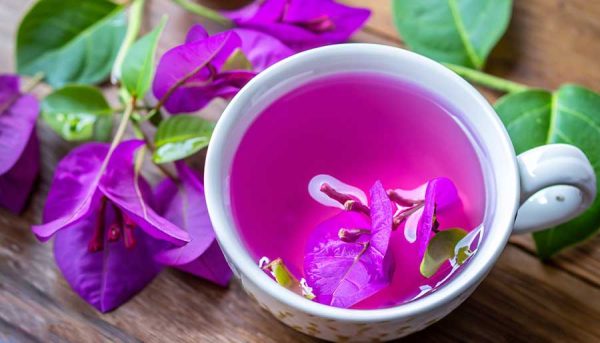 Ramai tidak tahu banyak khasiat kesihatan teh bunga kertas, ini cara penyediaannya, sedap dan menyegarkan