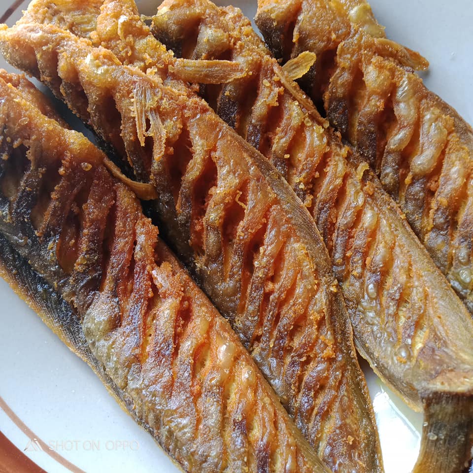 Tips goreng ikan keli tanpa meletup, rupanya guna ini je
