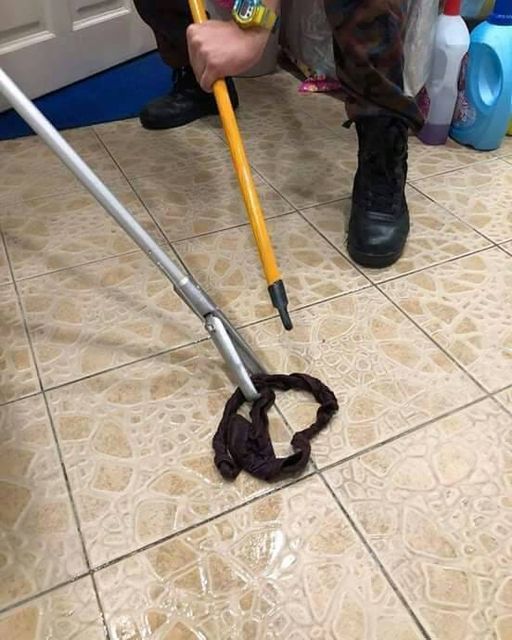 Banyak kes ular di kawasan bandar, ini amaran APM berikutan cuaca panas