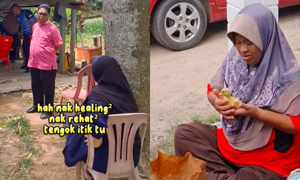 Hajat ditunaikan! YB beli anak itik untuk mak cik undang reaksi netizen