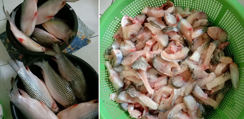 Orang tak kenal akan cakap busuk, ini 'rahsia' buat pekasam homemade tahan lama