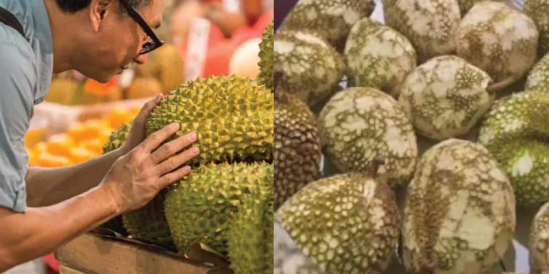 Susah payah buang... kesungguhan ibu bapa kirim durian buat anak undang pelbagai reaksi
