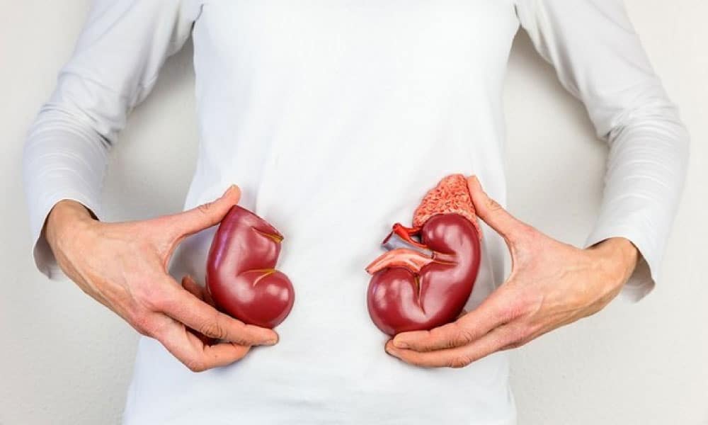 8 cara jaga buah pinggang, nombor 3 tu ramai terbabas masa berbuka puasa