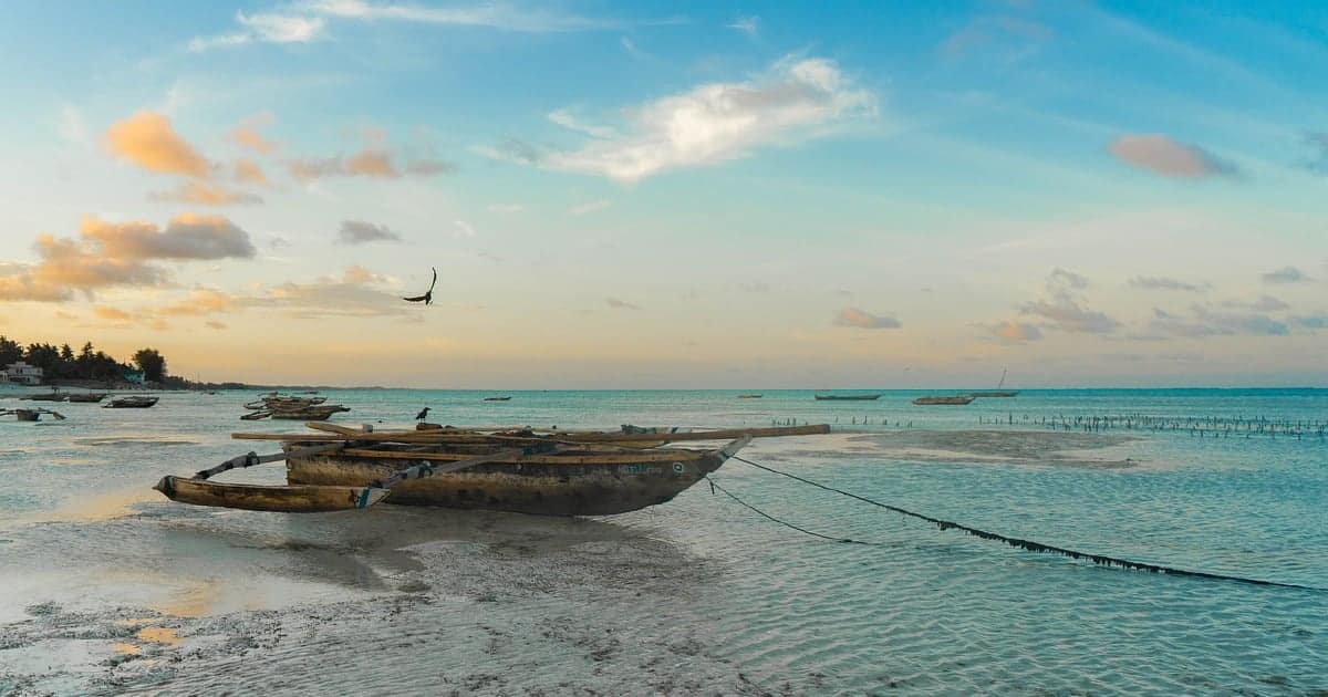 9 maut selepas nikmati hidangan penyu eksotik