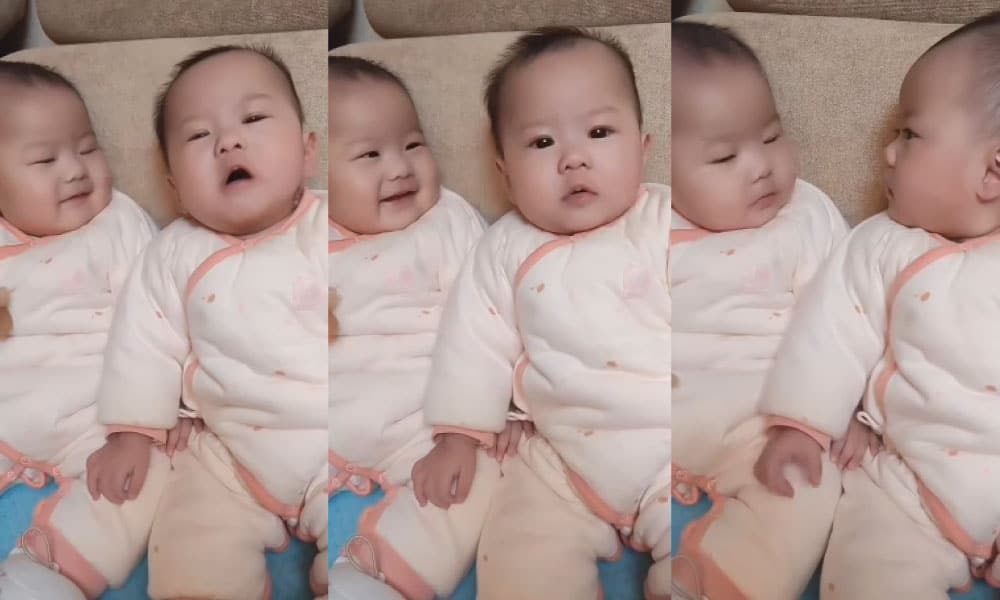 Serba salah nak ketawa gelagat kembar ini gelakkan member nak menangis menghiburkan