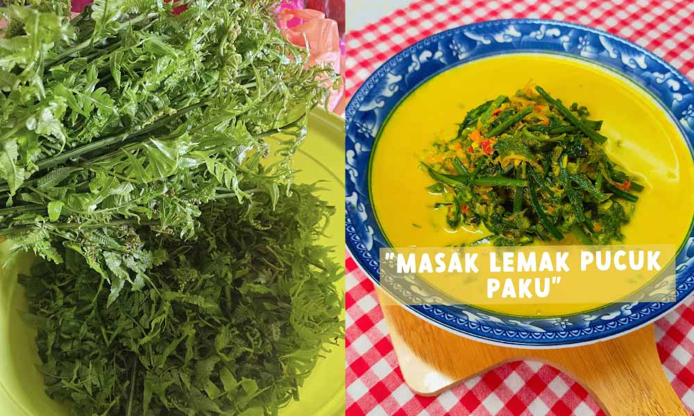 Siapa kata sajian tradisi sukar disediakan? Jom buat masak lemak pucuk
