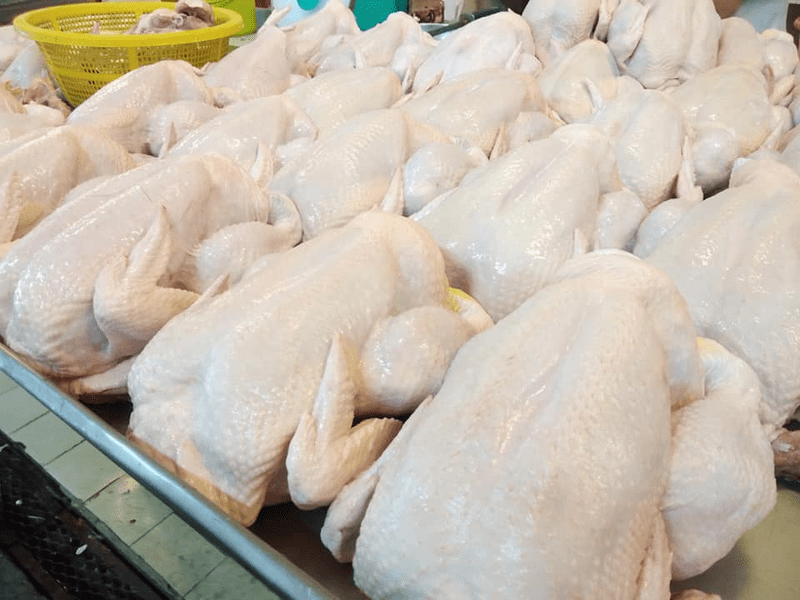 Ayam baru beli jadi kurang segar Ini tips mudah kekalkan kesegaran no 7 paling penting