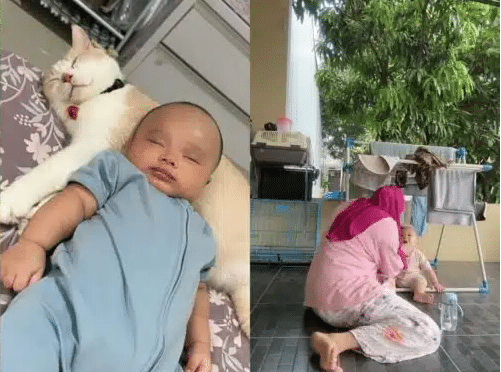 Apa kau makan Ibu ralit buat konten tiba tiba panik anak kunyah makanan si bulus