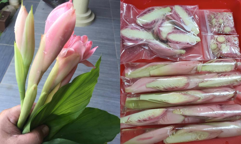 Tahan hingga berbulan-bulan, ini tips untuk simpan bunga kantan