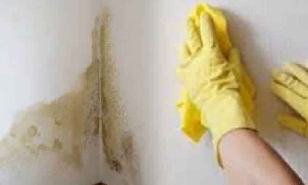 Malu dinding putih jadi kuning? Ikuti tips mudah ini