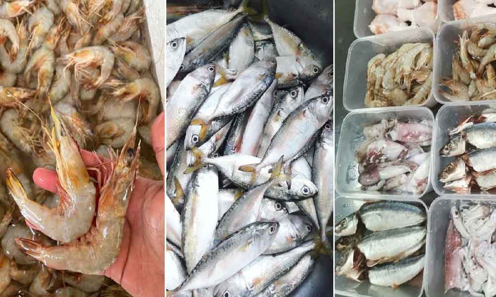 Kekal segar walau dah berbulan-bulan beli, nelayan kongsi cara simpan makanan laut