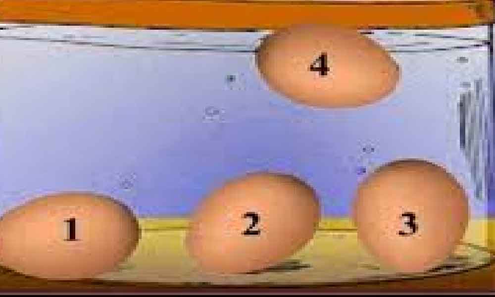 Nak tahu telur segar ke tidak, rendam je dalam air dah boleh tahu