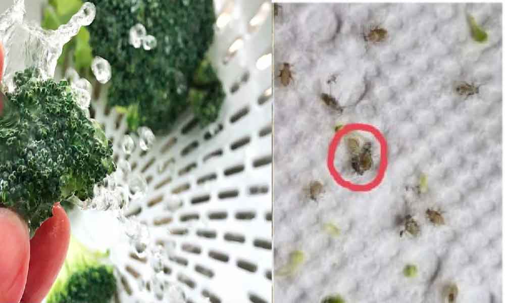 Cara betul basuh sayur brocoli, kalau salah ‘gaya’ boleh keracunan makanan