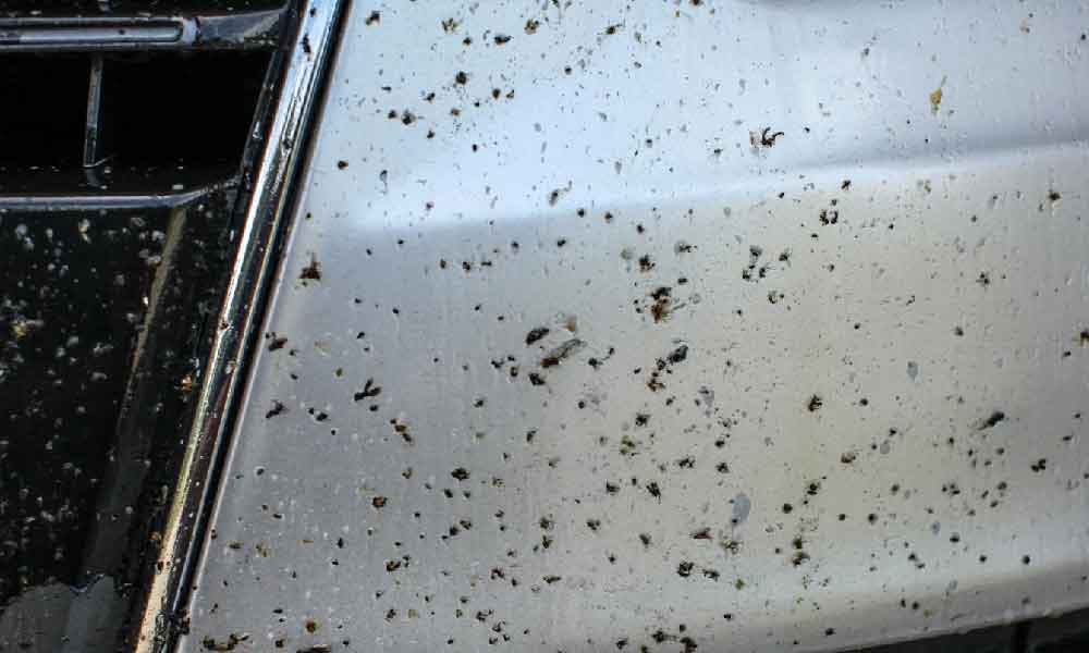 Tak perlu hantar kedai cat, ini cara hilangkan kesan tar pada kereta