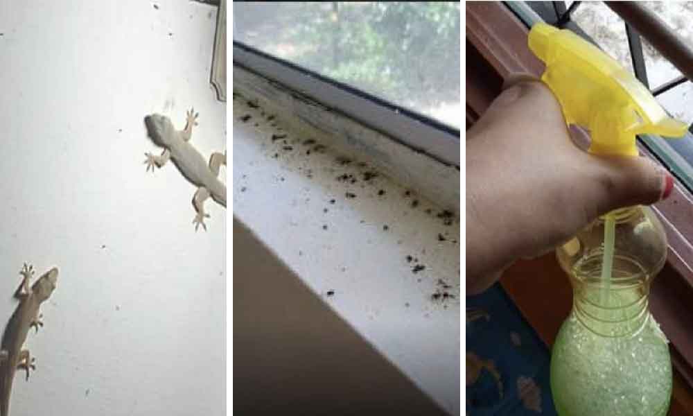 Serabut tahi cicak ditepi tingkap? Sekejap je 'settle' kalau ikut cara ini