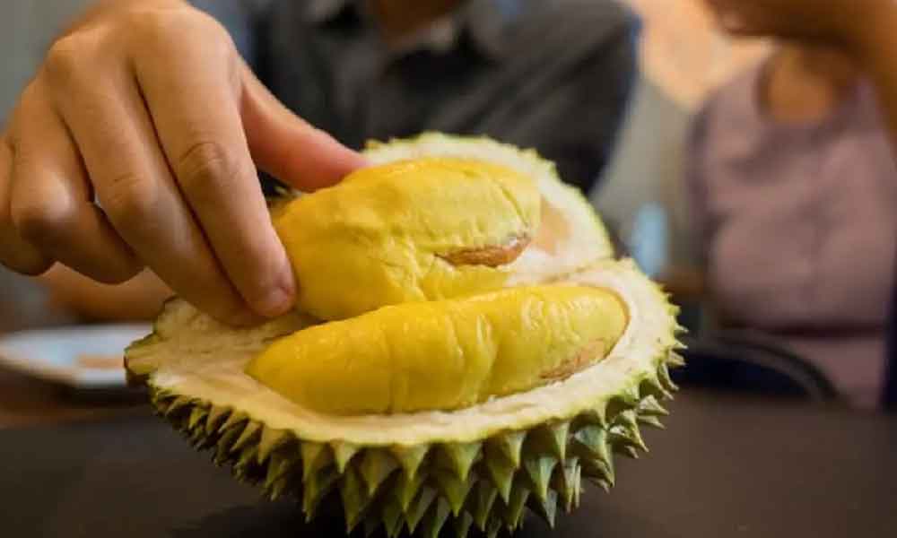 Ini 6 makanan yang tidak boleh dimakan bersama durian, no.4 tu ramai buat tanpa sedar