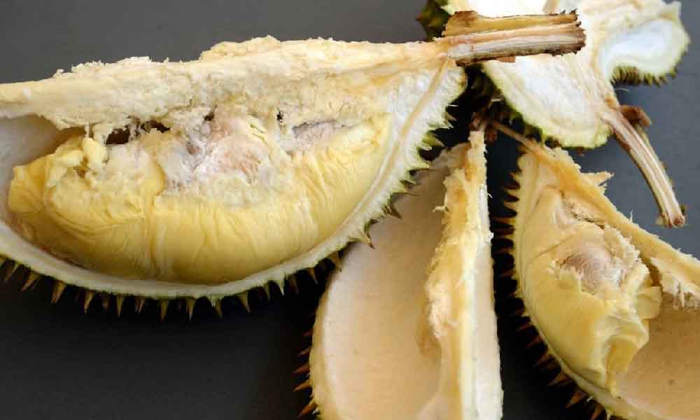 Cara simpan durian kekal segar setahun, 'confirm' tak jadi tempoyak