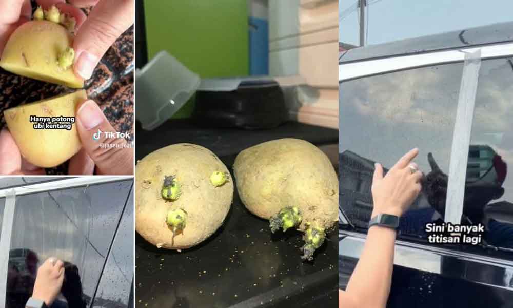 Guna je kentang, dah boleh bersihkan 'watermark' pada cermin kereta, ini caranya