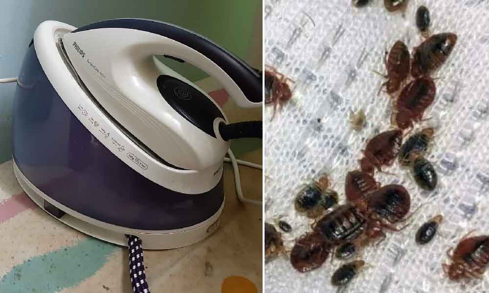 Guna seterika je nak hapuskan pepijat pada tilam, ini caranya