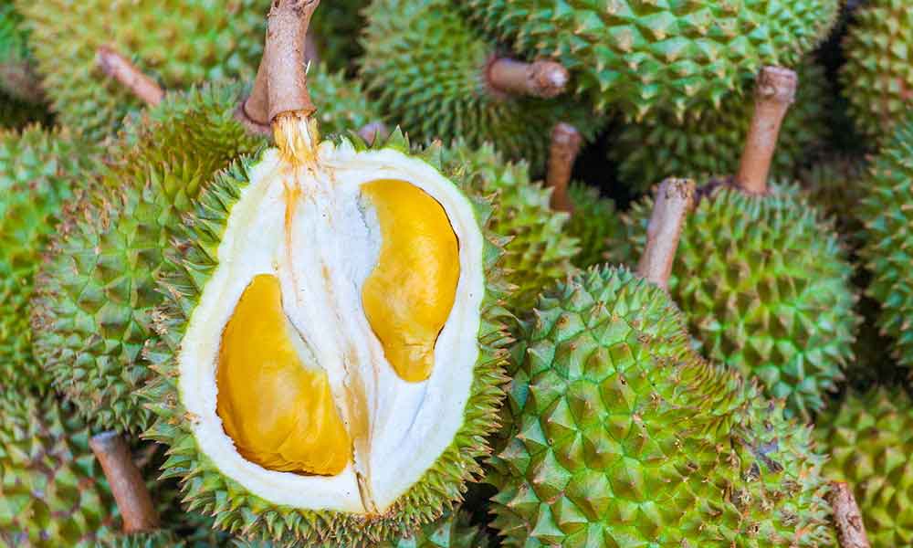 5 tips pilih durian berisi lemak manis yang ramai tak tahu