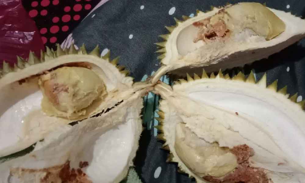 Bengang ditipu peniaga, ini ilmu penting sebelum beli durian ramai abaikan