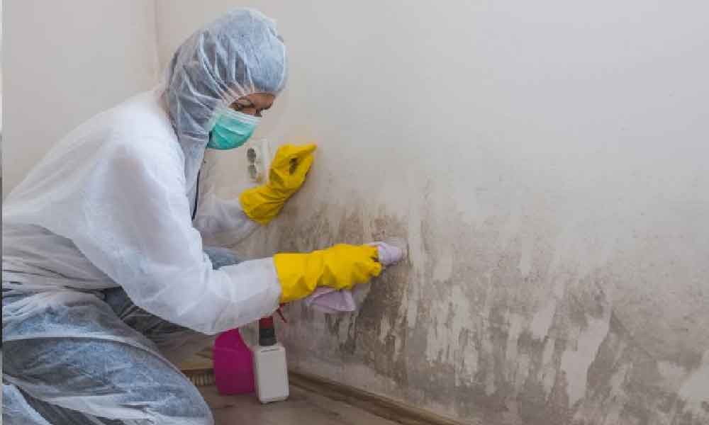 Tak perlu keluar kos panggil tukang cuci, ini cara mudah hapuskan kulat, suri rumah pun boleh buat