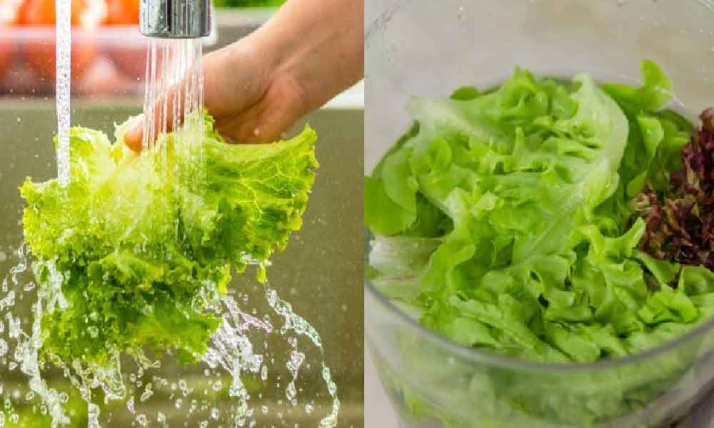 Rupanya ini cara ‘betul’ simpan salad agar tahan lama