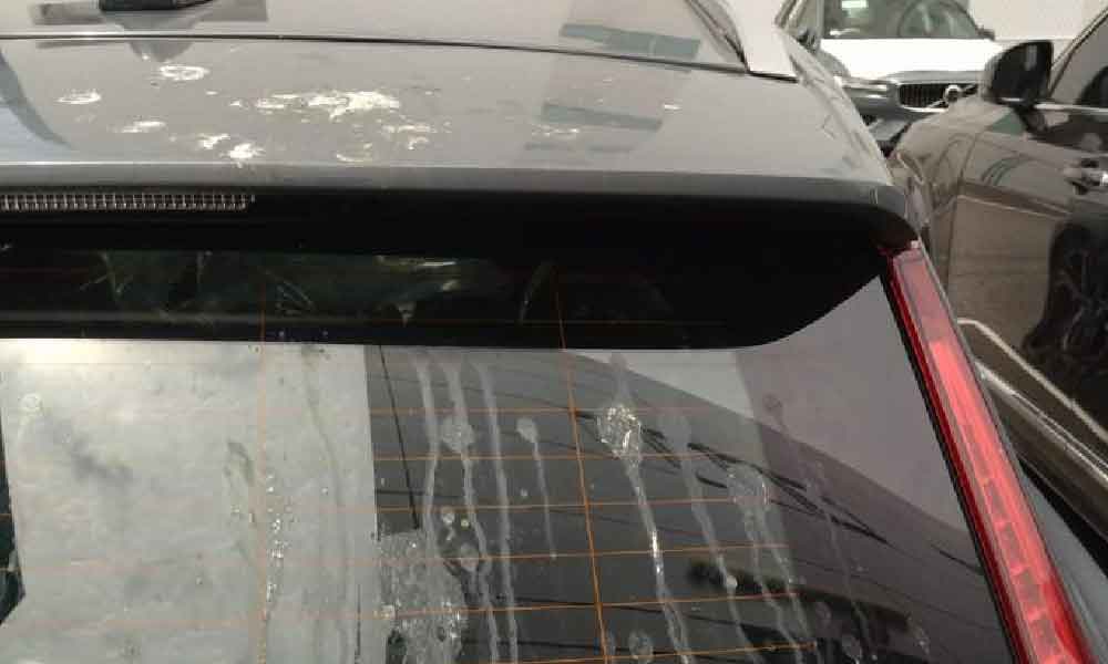 Kalau tak nak cat kereta rosak gara-gara tahi burung, terus buat langkah ini!