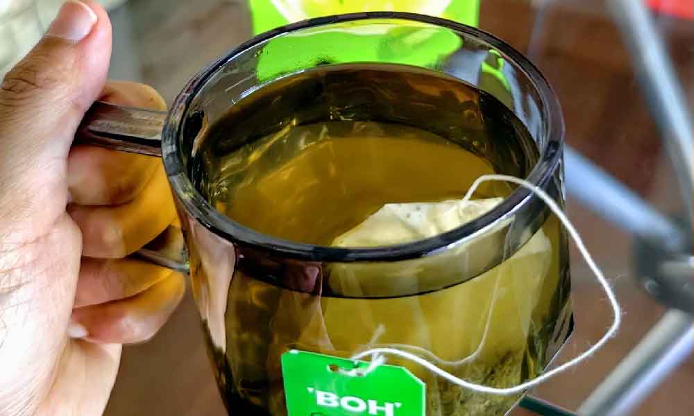 Tak sangka rupanya teh hijau Jepun boleh turun berat badan