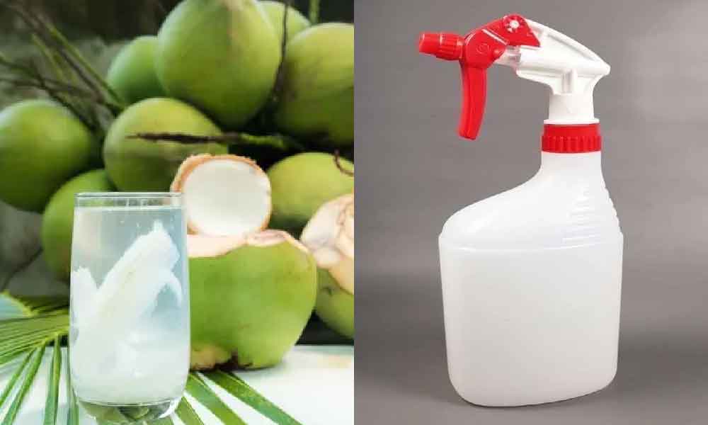 'Masukkan je air kelapa dalam botol spray' ini fungsi air kelapa selain diminum
