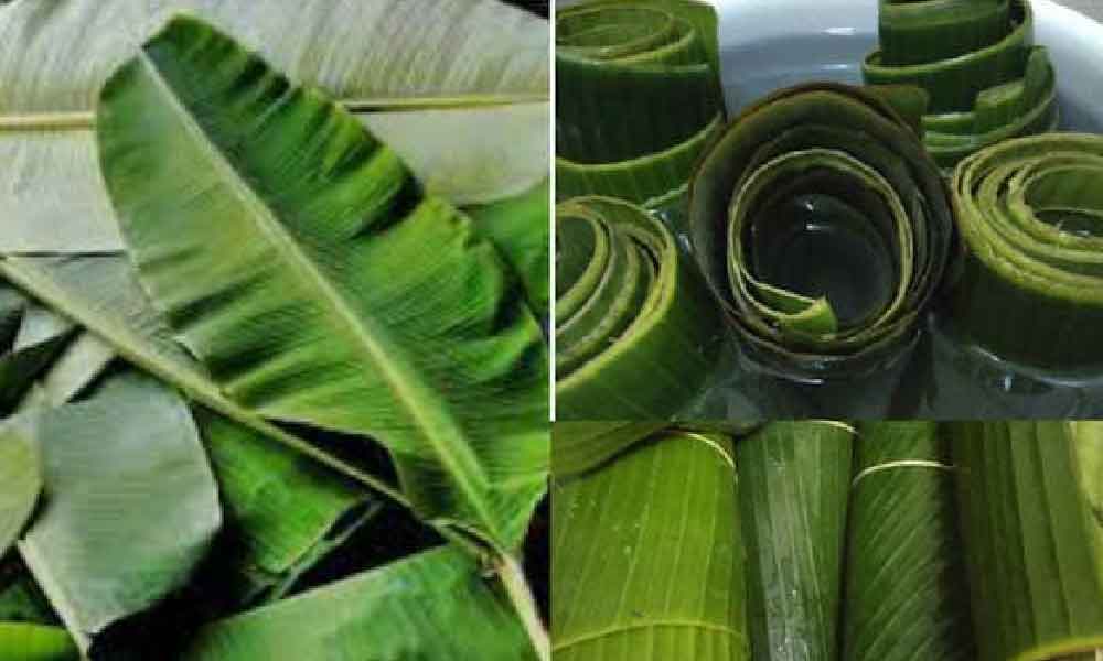 Wanita kongsi tip, simpan daun pisang dalam peti ais boleh tahan lebih seminggu!