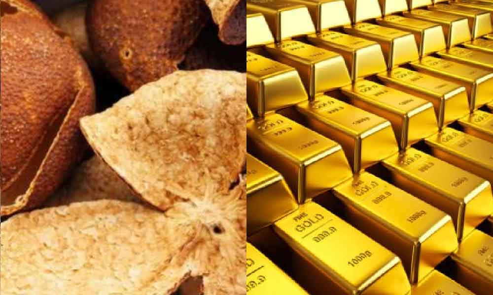 Ramai tak tahu nilai jeruk kulit limau setanding dengan harga emas tulen!