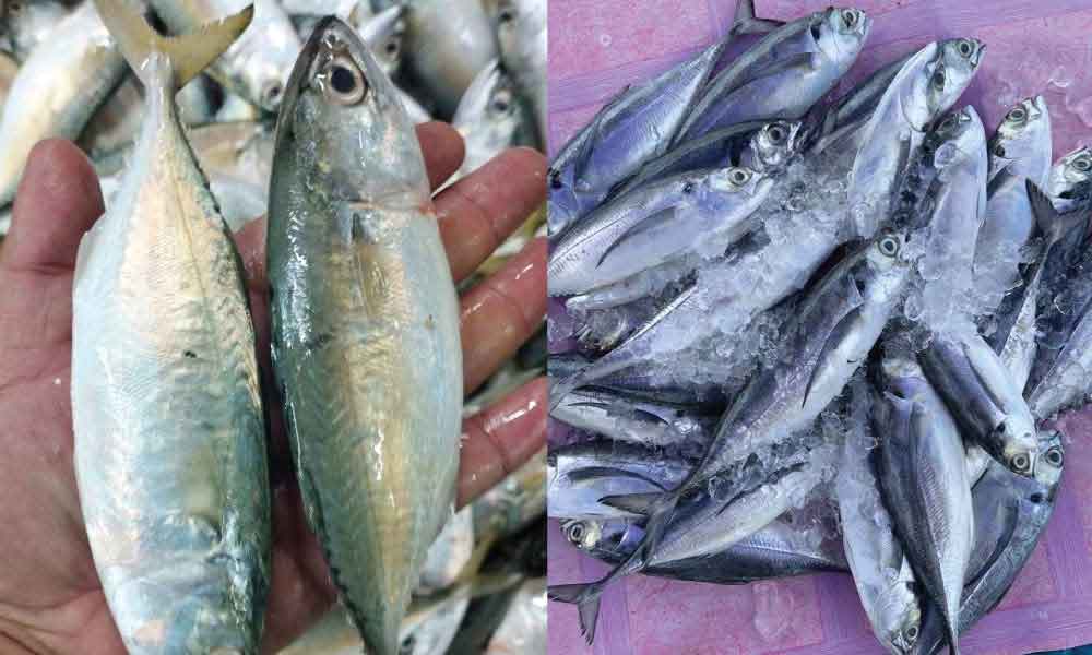 7 tips pilih ikan segar yang ramai orang tak tahu